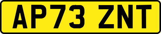 AP73ZNT