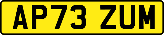AP73ZUM