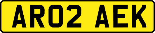 AR02AEK