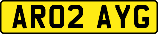 AR02AYG