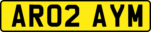AR02AYM