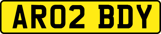 AR02BDY