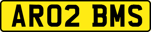 AR02BMS