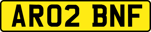 AR02BNF