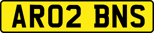 AR02BNS