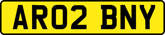 AR02BNY