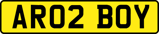 AR02BOY
