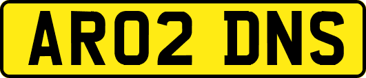 AR02DNS