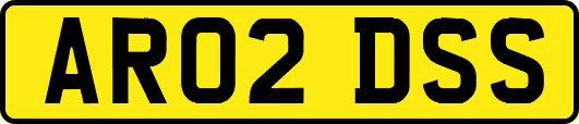 AR02DSS