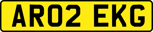 AR02EKG