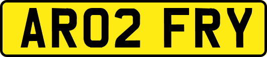 AR02FRY
