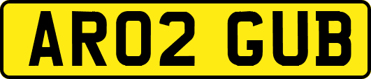 AR02GUB