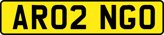 AR02NGO