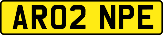 AR02NPE