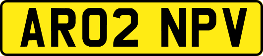 AR02NPV