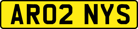 AR02NYS