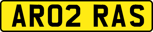 AR02RAS
