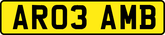 AR03AMB