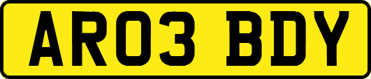 AR03BDY