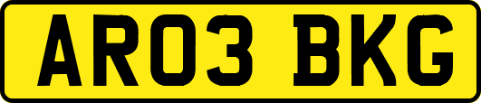 AR03BKG