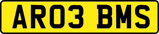 AR03BMS
