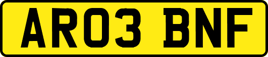 AR03BNF