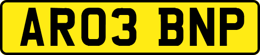 AR03BNP