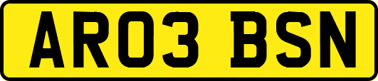 AR03BSN