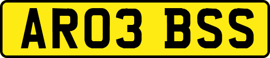 AR03BSS