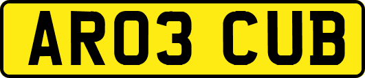 AR03CUB