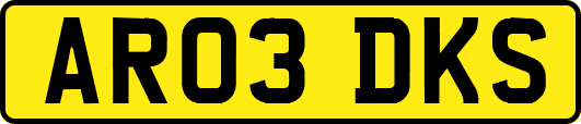 AR03DKS