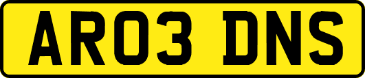 AR03DNS