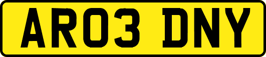 AR03DNY