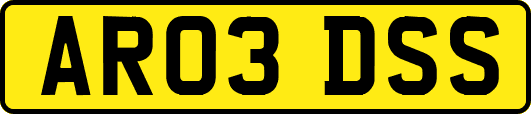 AR03DSS
