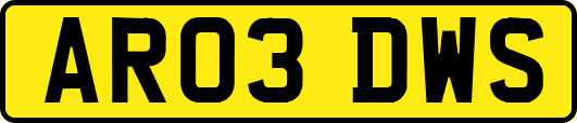 AR03DWS