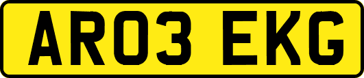 AR03EKG