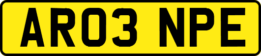 AR03NPE