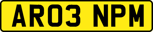 AR03NPM