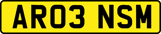 AR03NSM