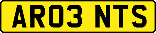 AR03NTS