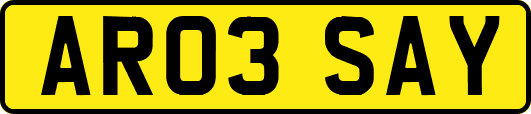 AR03SAY