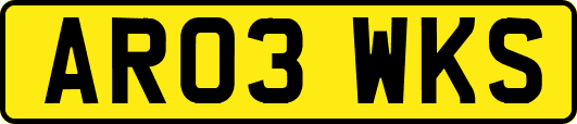 AR03WKS
