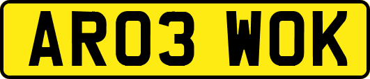 AR03WOK