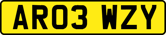AR03WZY