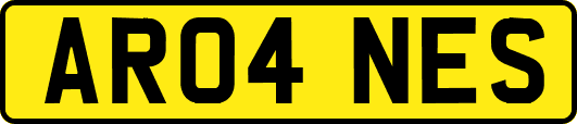 AR04NES