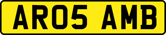 AR05AMB
