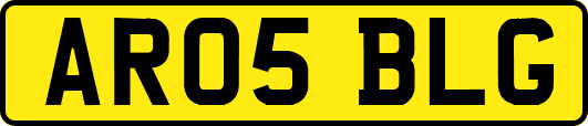 AR05BLG