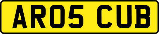 AR05CUB
