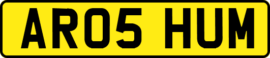 AR05HUM