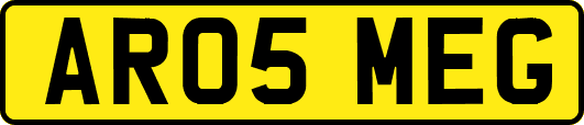 AR05MEG